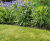 Woodgrain Edge - wood effect lawn edging for garden borders 0