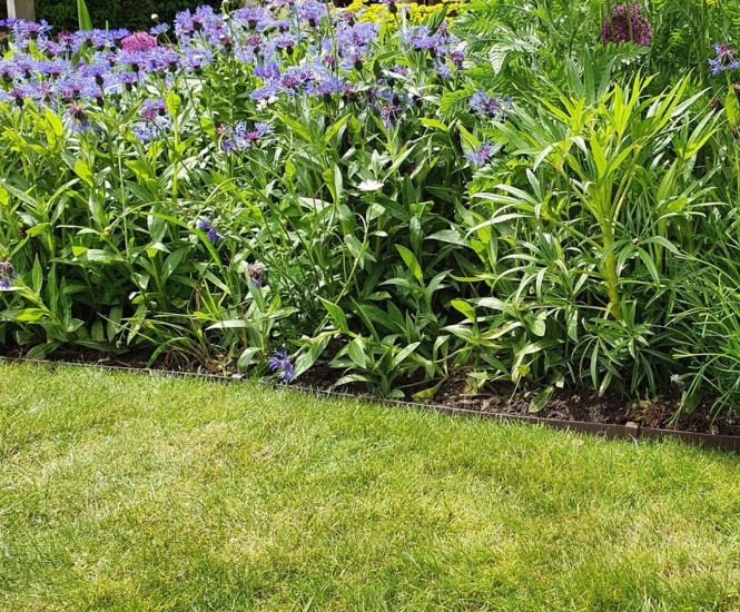Woodgrain Edge - wood effect lawn edging for garden borders