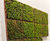 Biodiversity Bricks - clay bricks for wildlife habitats in walls 2