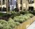 Timber pergolas, planters, picnic sets and seats for mixed-use development 4