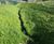 Hydroseeding service for erosion control 4
