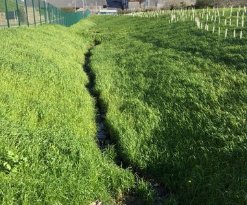 Hydroseeding service with beneficial fungi