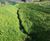 Hydroseeding service with beneficial fungi 0