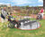 Integration Carousel - stainless steel wheelchair accessible roundabout 1