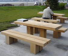 Standard Hardwood Picnic Set - outdoor picnic table and bench set