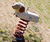 Sheep Spring Rocker - outdoor robinia wood playground spring rider 0