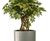 Pillar Geo Design - lightweight fibreglass column planters 2
