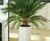 Pillar Geo Design - lightweight fibreglass column planters 10