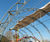 Zenith Sports Structure - steel sports canopy for all-weather court cover 1