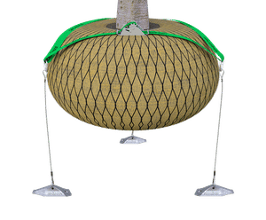 Rootball Fixing System - Strap