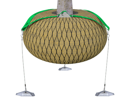 Rootball Fixing System - Strap