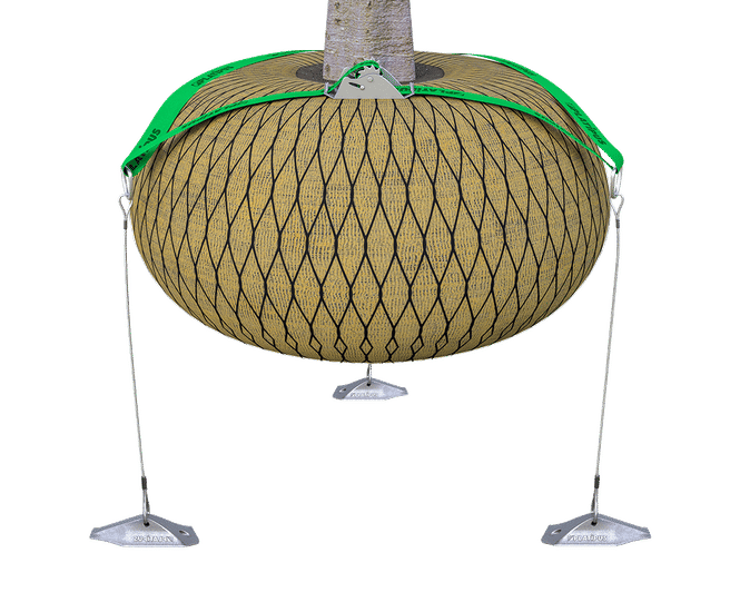 Rootball Fixing System - Strap