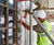Versatile PVC beads from Renderplas meet builders' needs 0