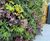 G-WALL - modular living wall for private courtyard garden 2