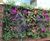 G-WALL - modular living wall for private courtyard garden 4