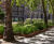 Urban landscape edging complements street furniture at Strand Aldwych 3