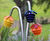 Inspired by Nature Ensemble - outdoor musical instrument trio for parks 4