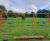 Creating a low-maintenance, inclusive play area in a small, enclosed space 2