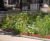 Urban landscape edging complements street furniture at Strand Aldwych 0