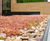 Green roof cycle shelter enriches Leeds Arts University campus 6