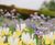 Low Fertility Topsoil - low nutrient soil for wildflower meadow planting 0