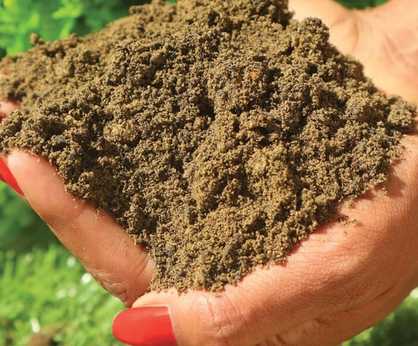 Bioretention Topsoil - soil mix for swales and rain gardens drainage