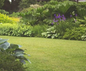 Lawn Rootzone - sand & soil blend for lawns, sports pitches & landscaping