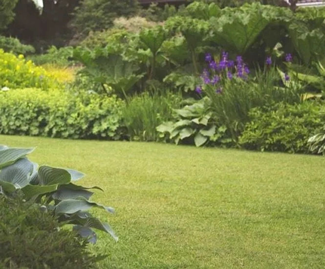Lawn Rootzone - sand & soil blend for lawns, sports pitches & landscaping