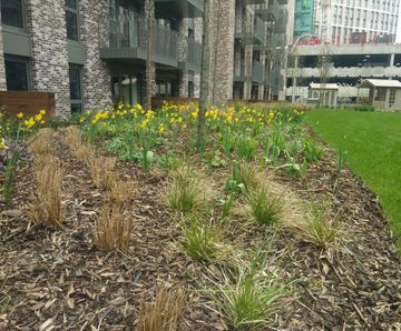 Semi-Intensive Lightweight Green Roof Subsoil - green roof sand & aggregate