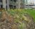 Semi-Intensive Lightweight Green Roof Subsoil - green roof sand & aggregate 0