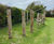 Revamped timber trim trail and surfacing for primary school 7