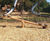 Robinia Seesaw - natural wood playground seesaw for outdoor play 0