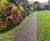 Daily mile tracks 0