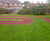 Daily mile tracks 6