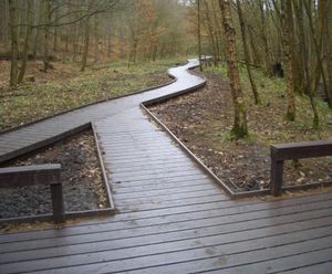 Recycled plastic decking and edging profiles