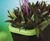 Quadik - lightweight, durable handmade fibreglass planters 2
