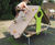 Climbing Hut - outdoor HPL playhouse with climbing wall for children 2
