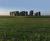 Hydroseeding solution for Stonehenge Visitor Centre and A344 Reinstatement 0