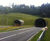 Conventional Seeding, Hydroseeding and seed collection at A3 Hindhead 2