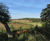 Conventional Seeding, Hydroseeding and seed collection at A3 Hindhead 3