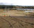 Hydroseeding for Calvert Landfill and Greatmoor Energy from Waste Facility 1