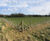 Hydroseeding for Calvert Landfill and Greatmoor Energy from Waste Facility 3