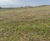 Hydroseeding for Calvert Landfill and Greatmoor Energy from Waste Facility 6