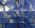 Anti-glare window film