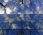 Anti-glare window film