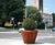 Pitocca - steel outdoor planter for commercial landscaping 1