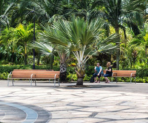 Riva - contemporary outdoor timber and aluminium seat with armrests