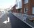 Contemporary mitred-top 304 or 316 stainless steel bollard 3