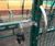 Canterbury Slimline - secure steel cycle compound for up to 20 bikes 13