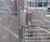 Canterbury Slimline - secure steel cycle compound for up to 20 bikes 14